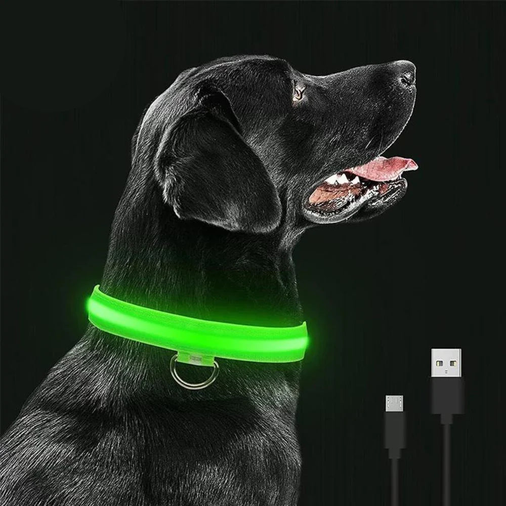 PawGlow - Lysende Hundehalsbånd med LED 🐾