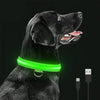 PawGlow - Lysende Hundehalsbånd med LED 🐾